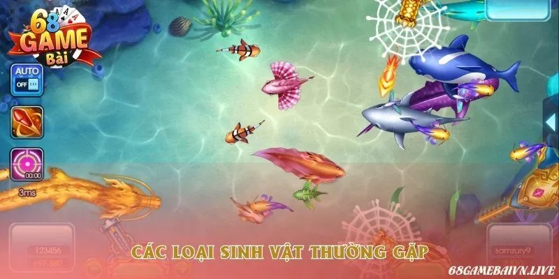 Những loài sinh vật thường xuất hiện nhất trong săn cá H5