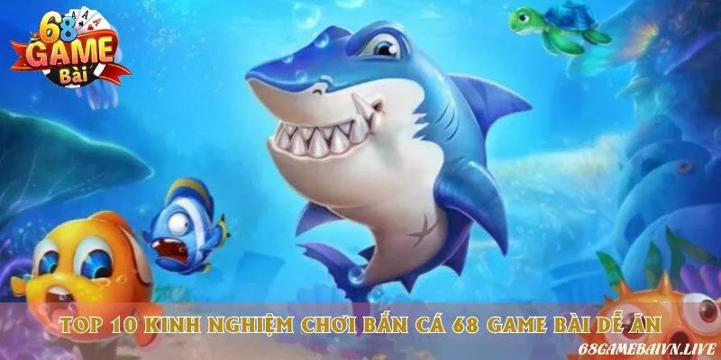 Tổng hợp 10 chiến thuật săn cá thông dụng nhất